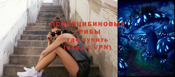 спайс Приозерск